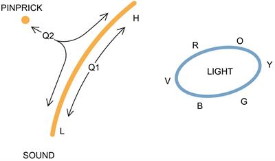 On the origins and evolution of qualia: An experience-space perspective